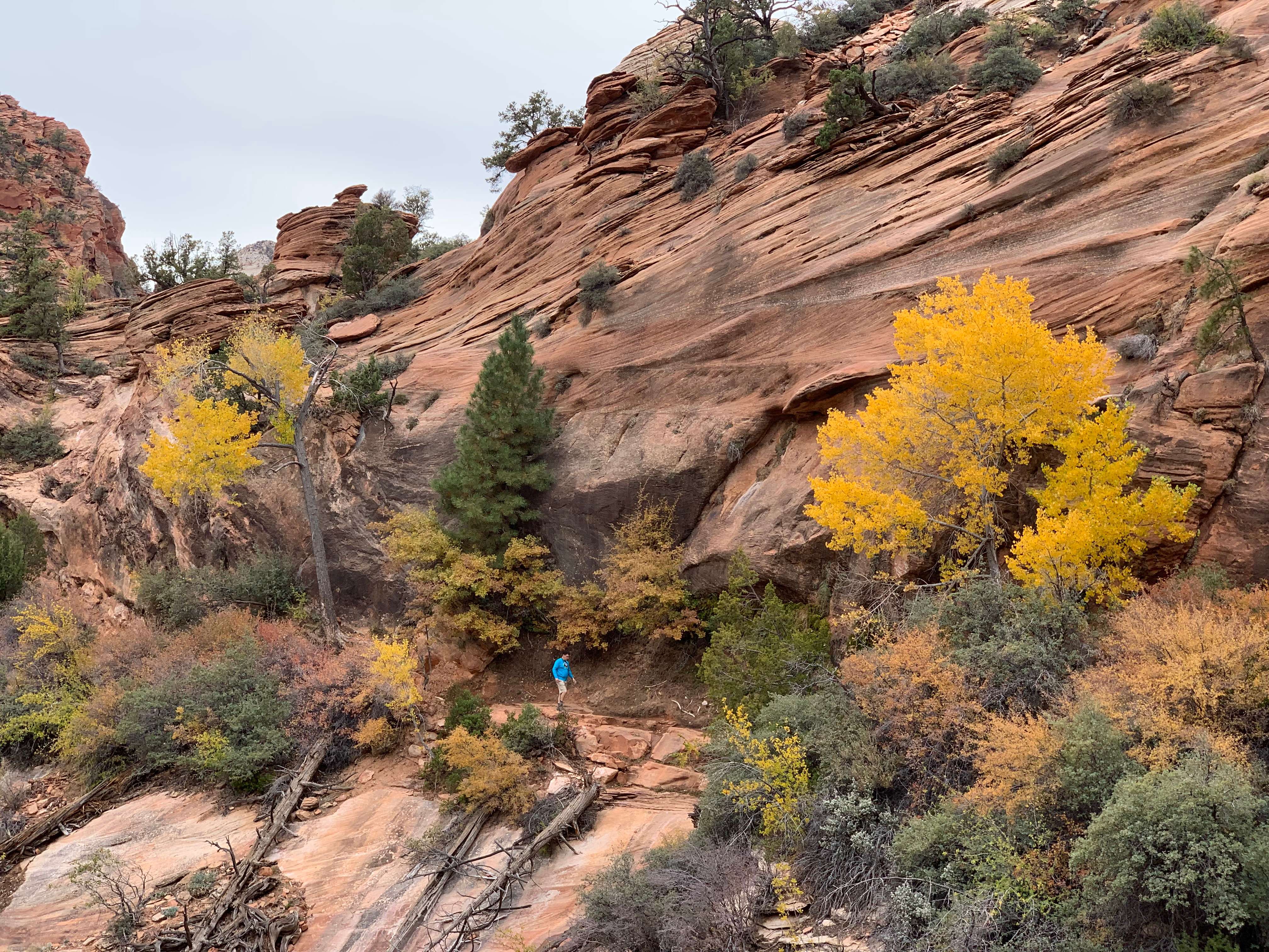 Zion NP